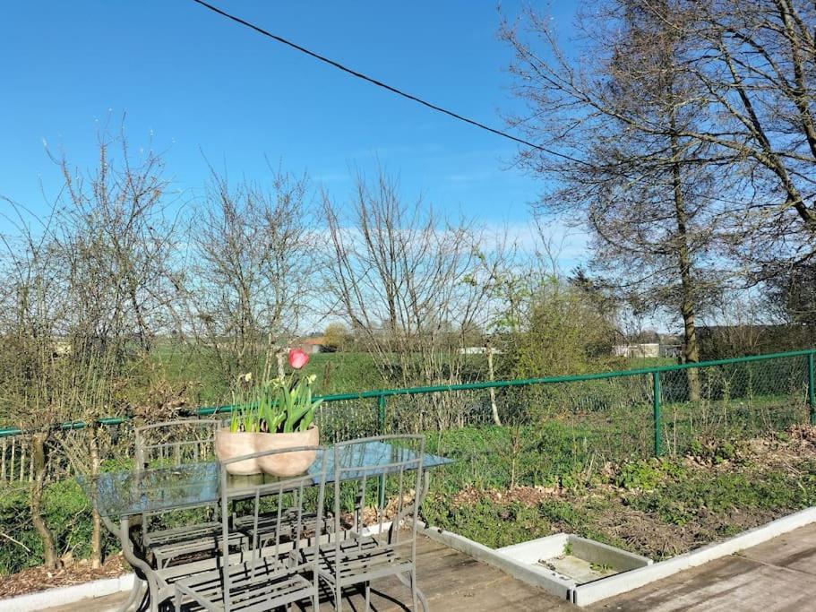 Gite Rural La Ferme Du Semeur-Zaaiershof Lessines ภายนอก รูปภาพ
