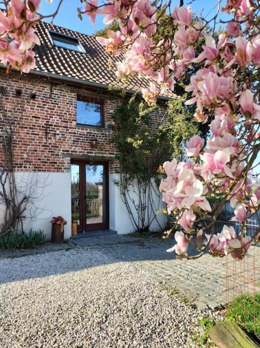 Gite Rural La Ferme Du Semeur-Zaaiershof Lessines ภายนอก รูปภาพ