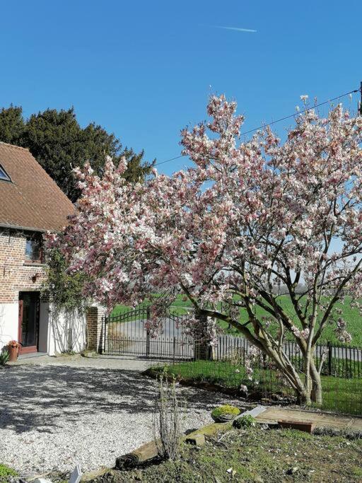 Gite Rural La Ferme Du Semeur-Zaaiershof Lessines ภายนอก รูปภาพ
